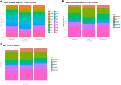 Unveiling antimicrobial resistance in Chilean fertilized soils: a One Health perspective on environmental AMR surveillance